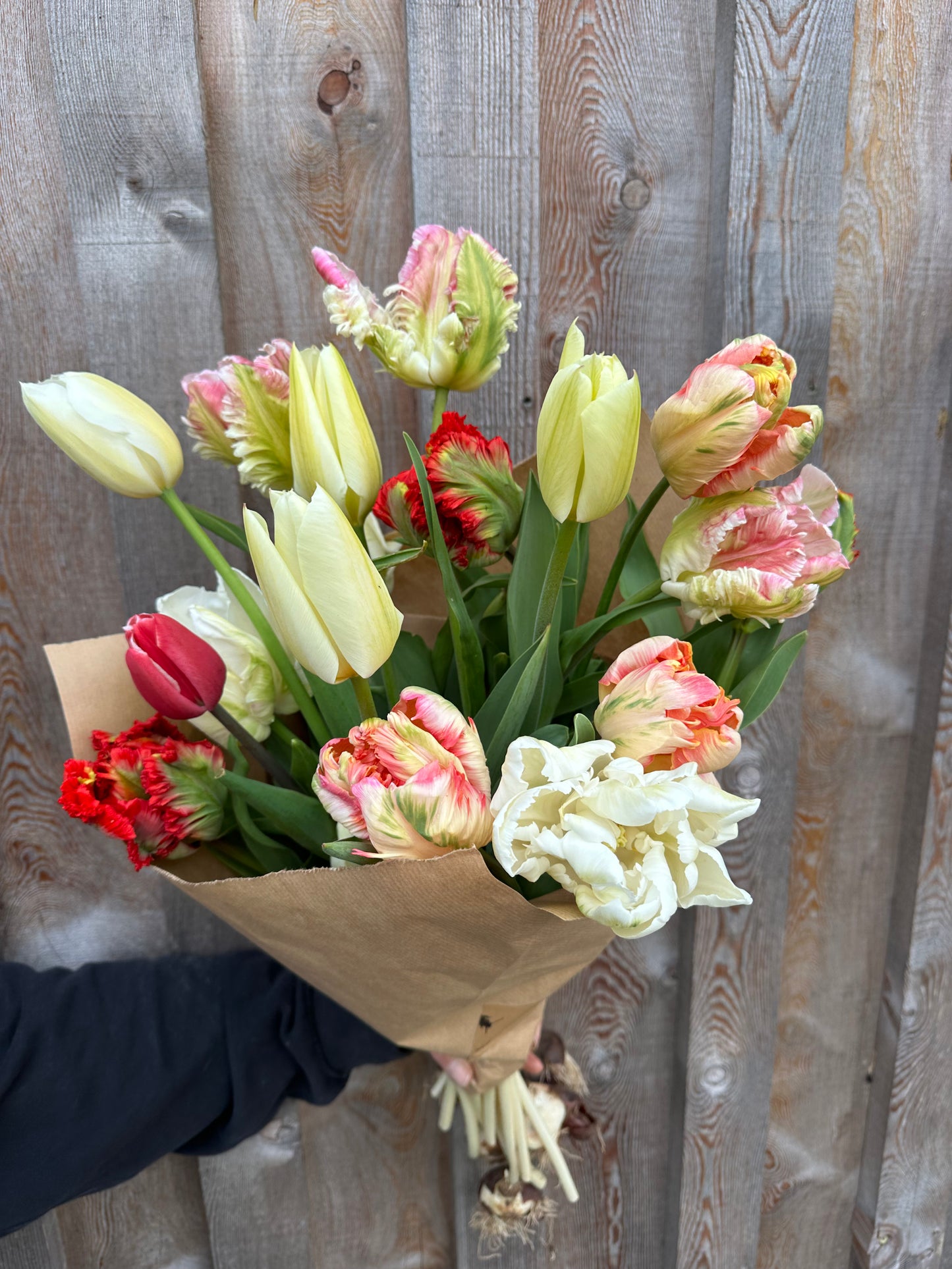 MIXED SEASONAL BUNCH