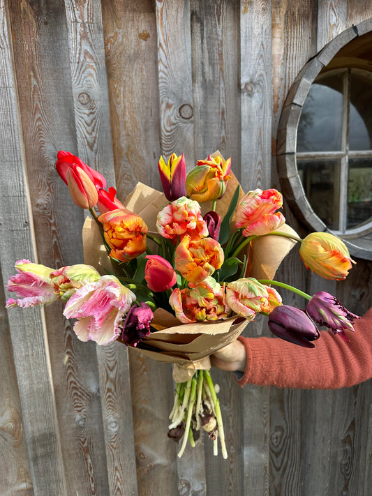 MIXED SEASONAL BUNCH