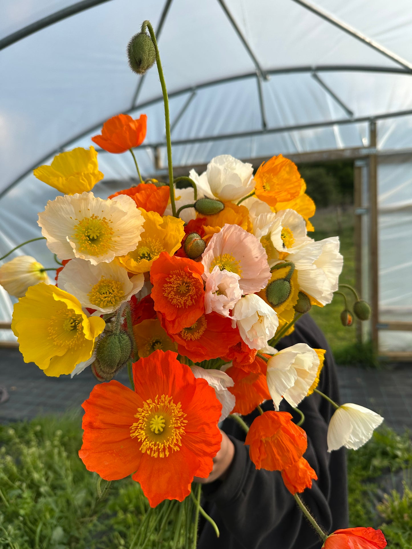 MIXED SEASONAL BUNCH