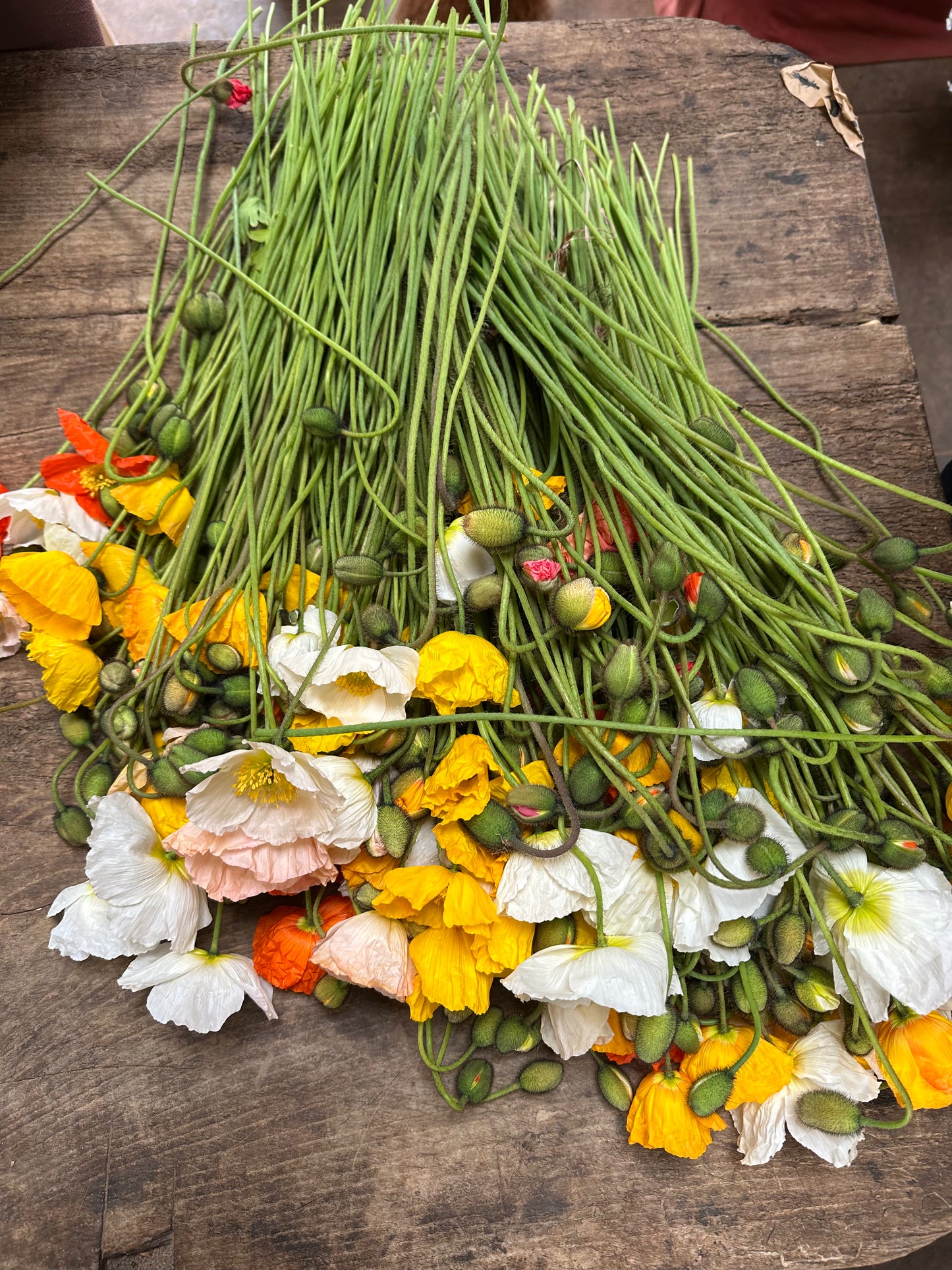 MIXED SEASONAL BUNCH