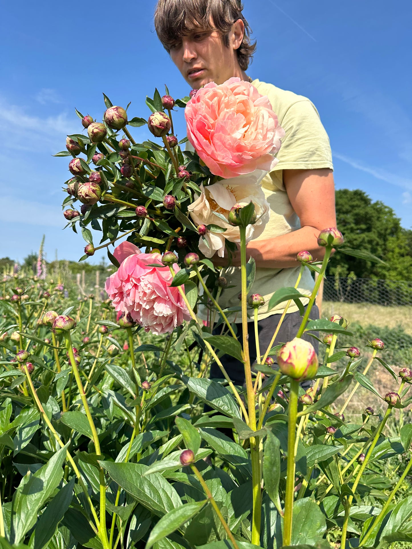 SINGLE VARIETY BUNCH