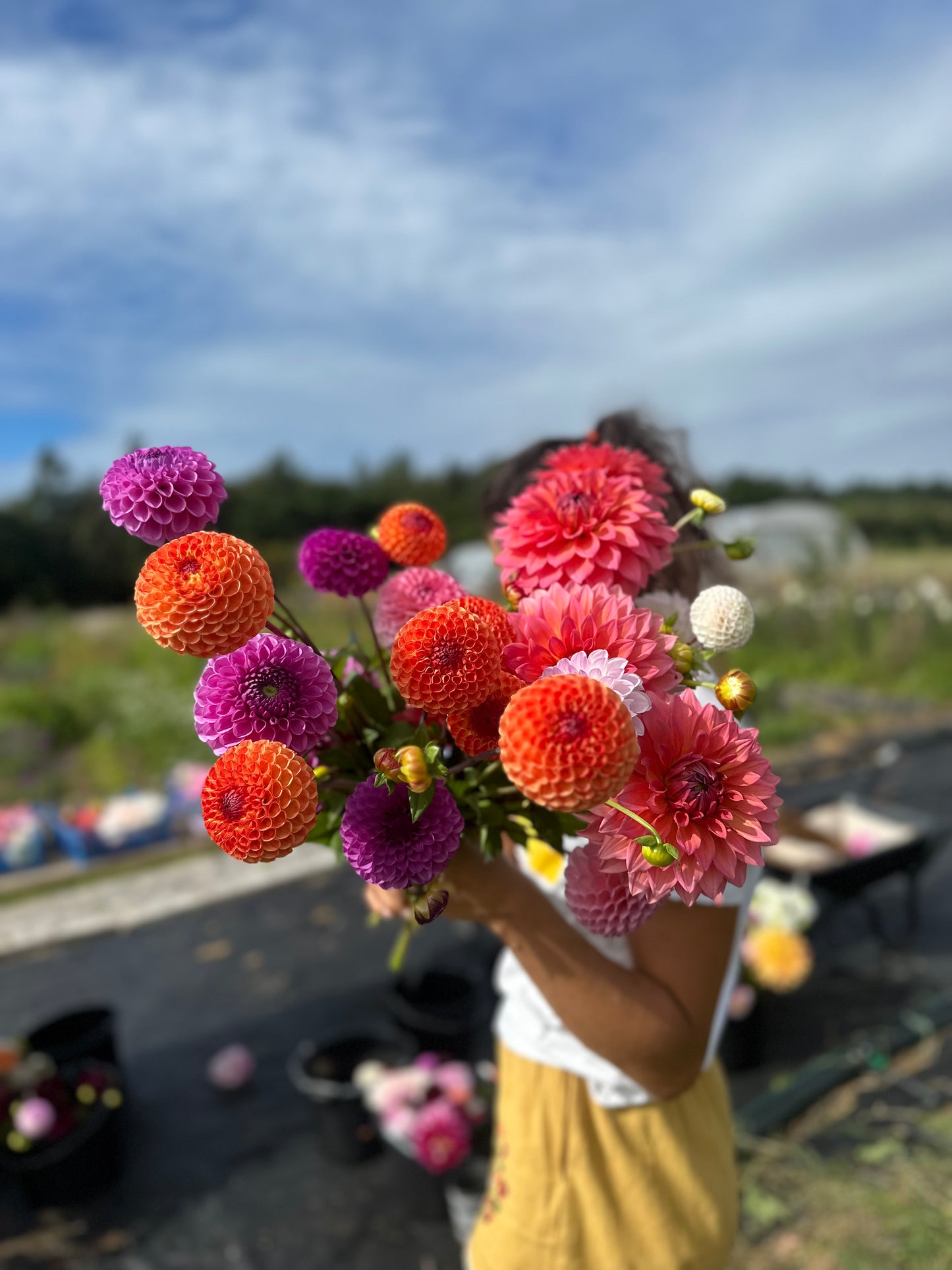 SEASONAL BUNCH