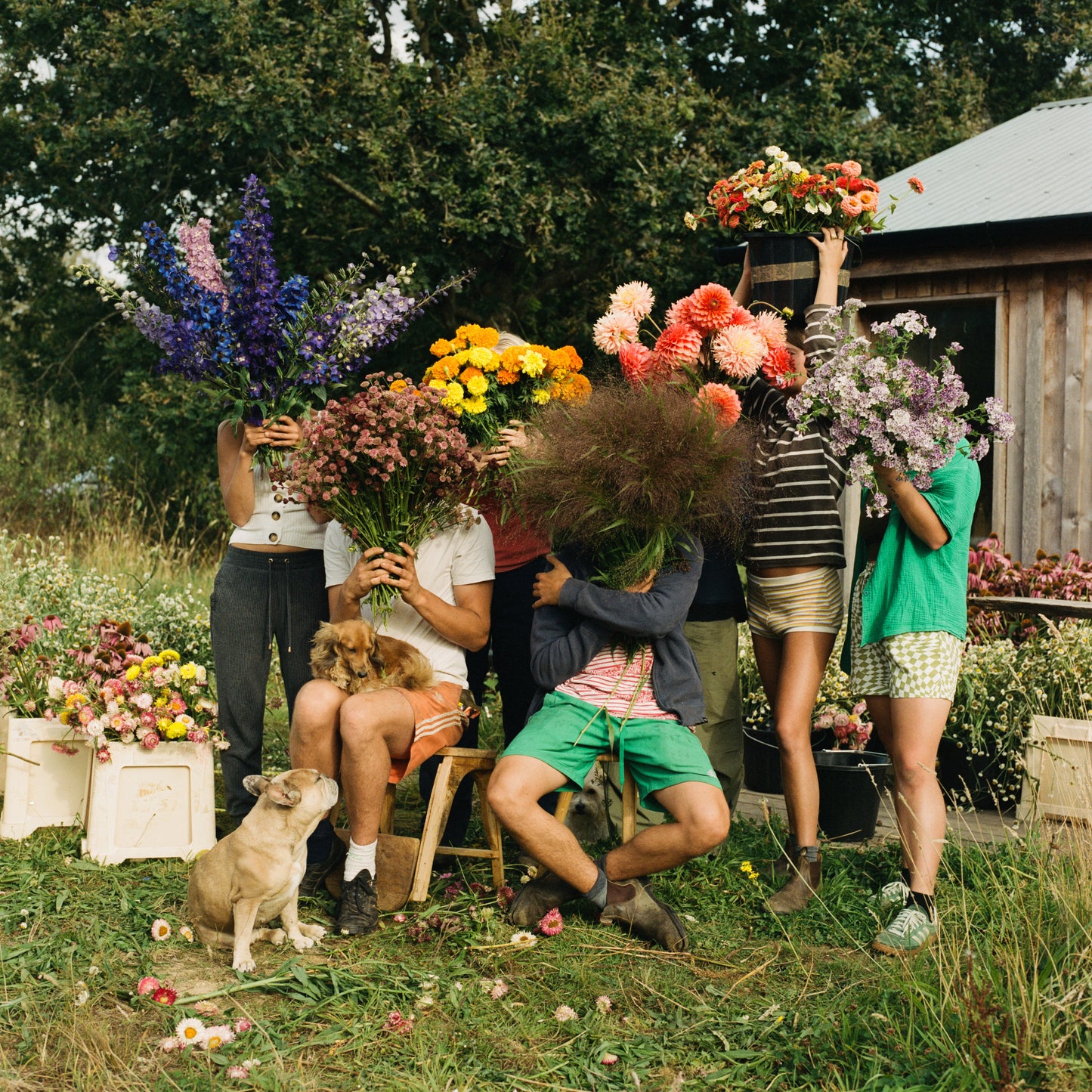 MIXED SEASONAL BUNCH