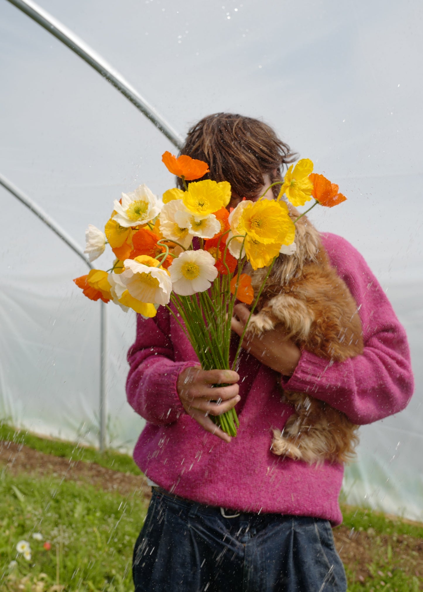 MIXED SEASONAL BUNCH