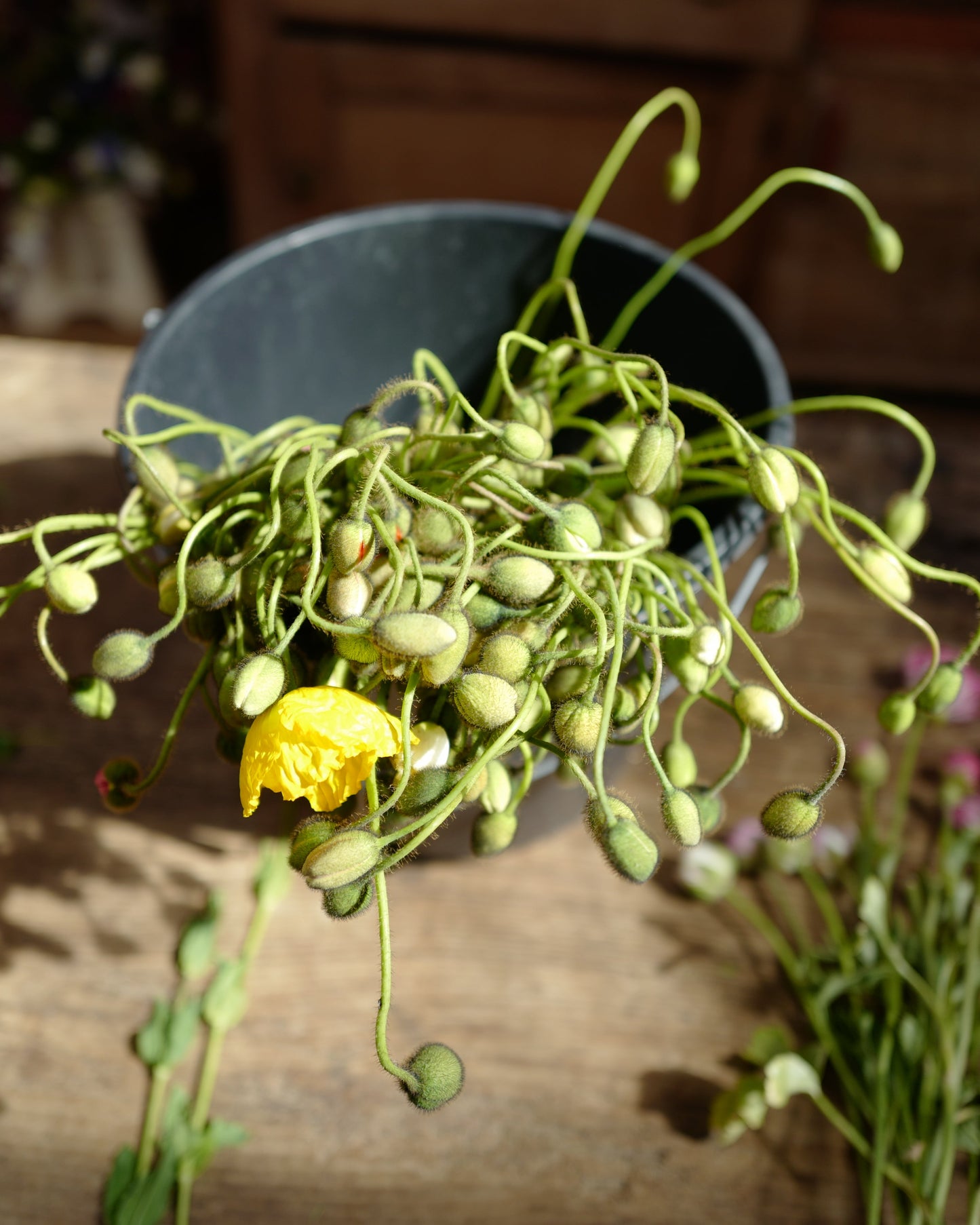 MIXED SEASONAL BUNCH